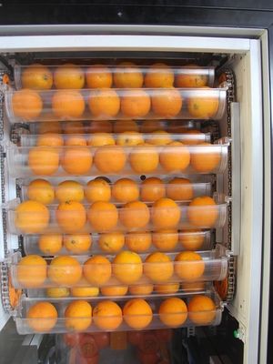 24 Stunden Selbstservice-orange Juice Drinks Vending Machine Touch-Schirm-frische Frucht 12 Unze